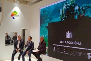 Grimalt presenta un paquet d’accions entorn del projecte de turisme experiencial ‘Viu la posidònia’