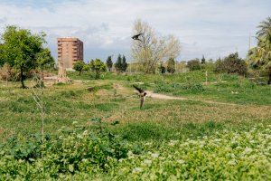 Alguna cosa està passant a l'alba en la Comunitat Valenciana: Ho has notat?