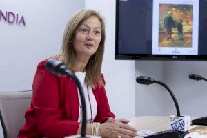Gandia acollirà els dies 14 i 15 de maig la Fira del Major amb una àmplia programació d’activitats
