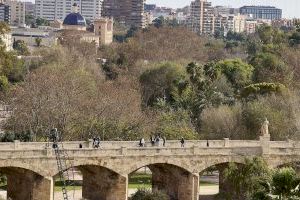 El Ayuntamiento adjudica la ejecución de un proyecto piloto de biodiversidad urbana para renaturalizar València