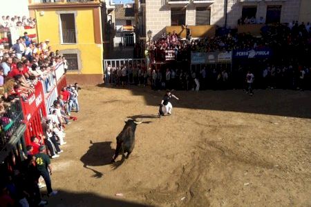 Almassora calienta motores para 10 días de fiesta con 140 actos y un potente cartel taurino
